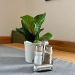 Apartment Am Labyrinth